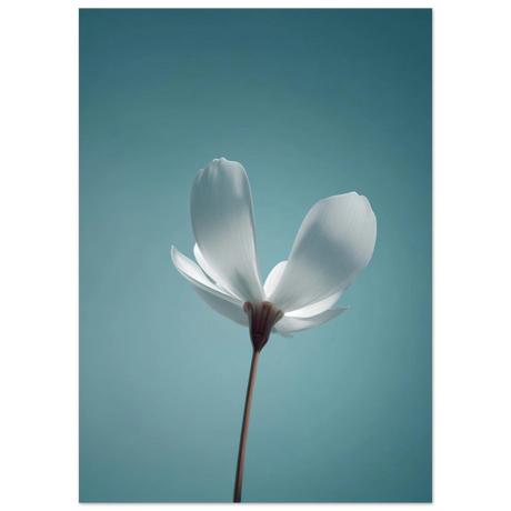 #50 x 70 cm