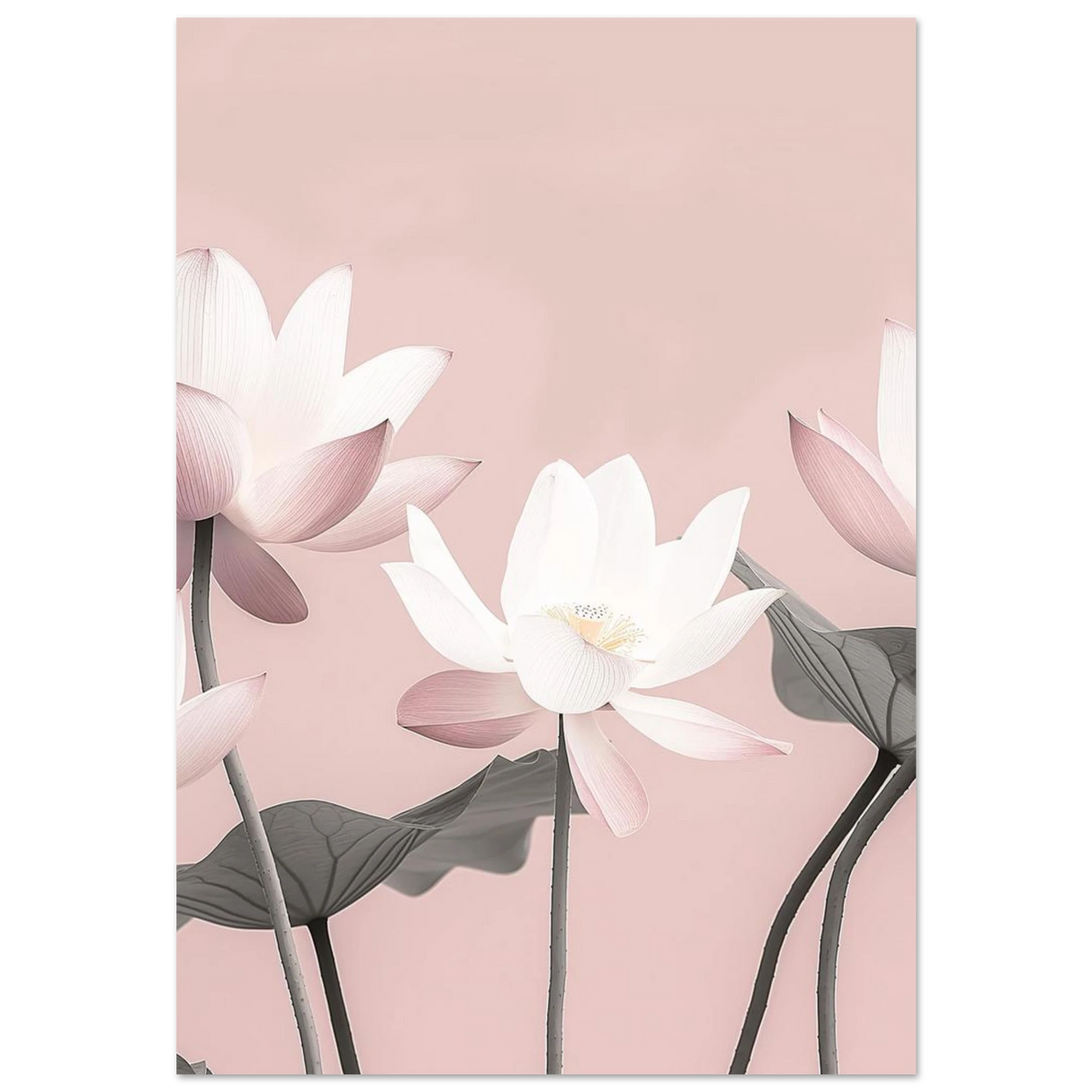 #70 x 100 cm