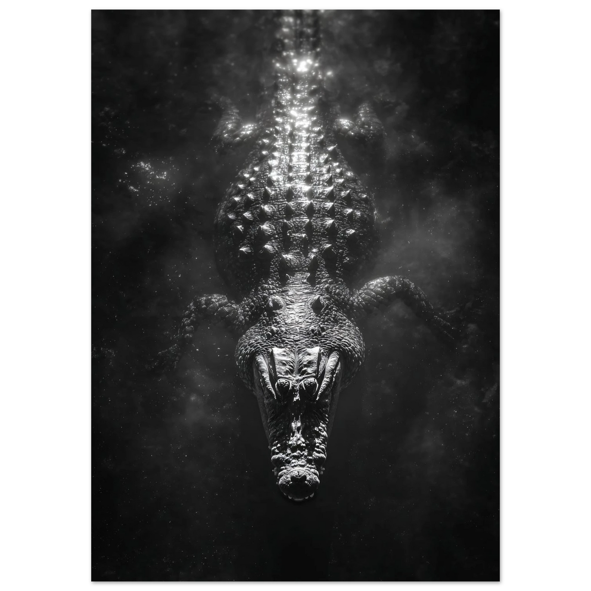 #40 x 50 cm