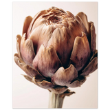 #70 x 100 cm