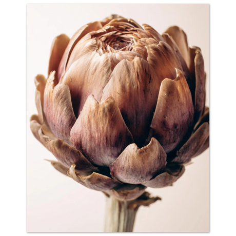 #70 x 100 cm