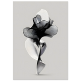 #40 x 50 cm