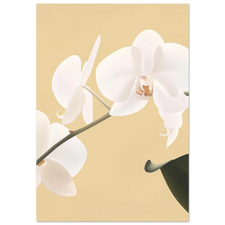 #70 x 100 cm