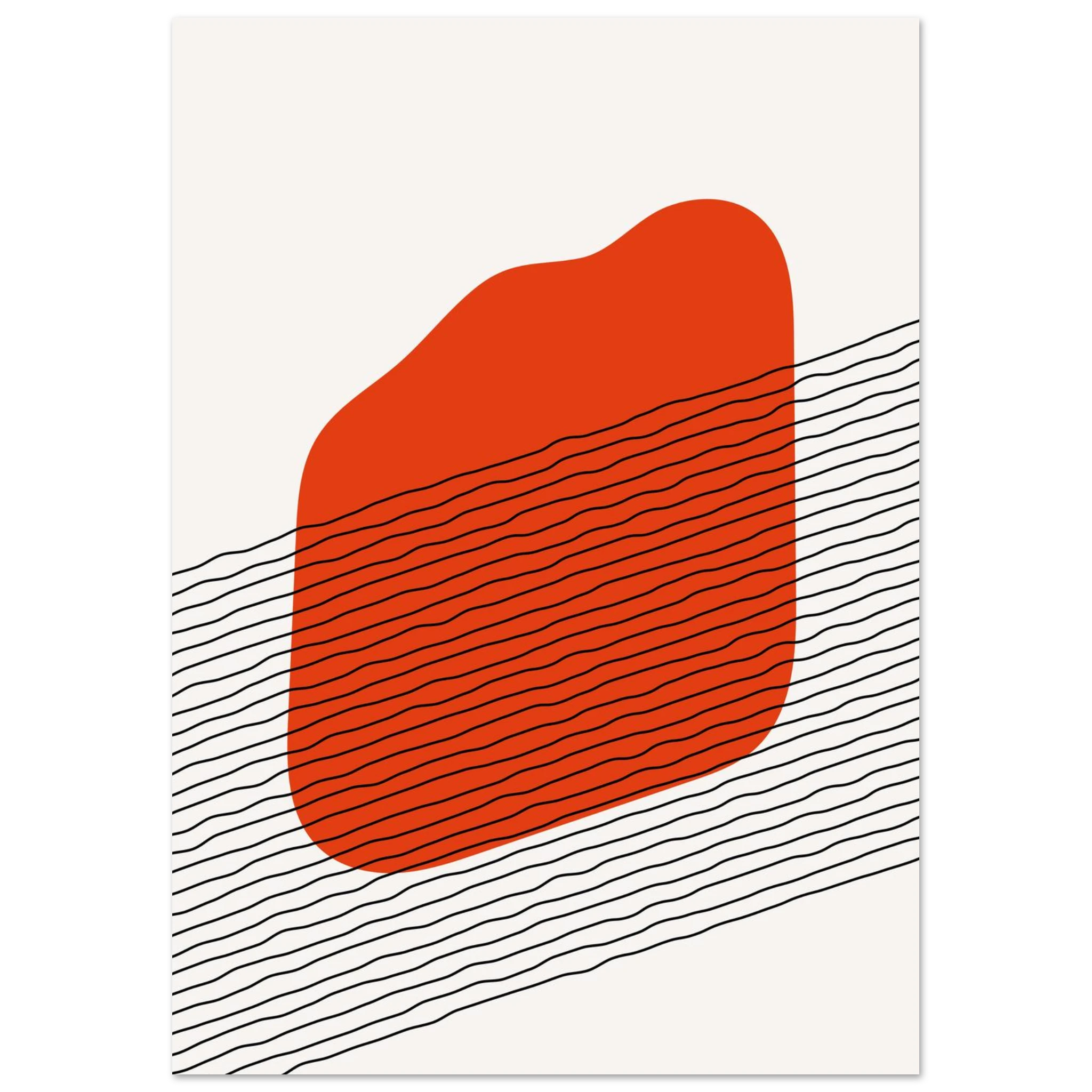 #21 x 29.7 cm