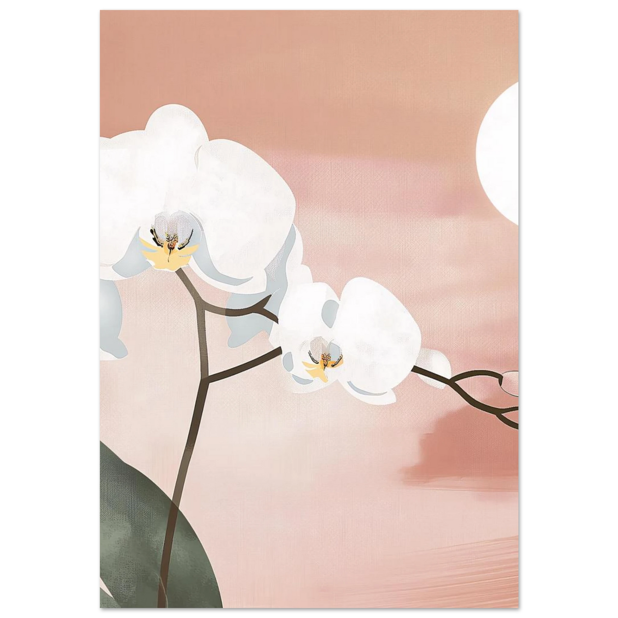 #70 x 100 cm