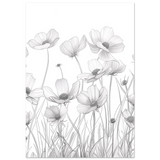 #70 x 100 cm