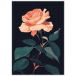 #21 x 29.7 cm