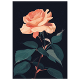 #21 x 29.7 cm