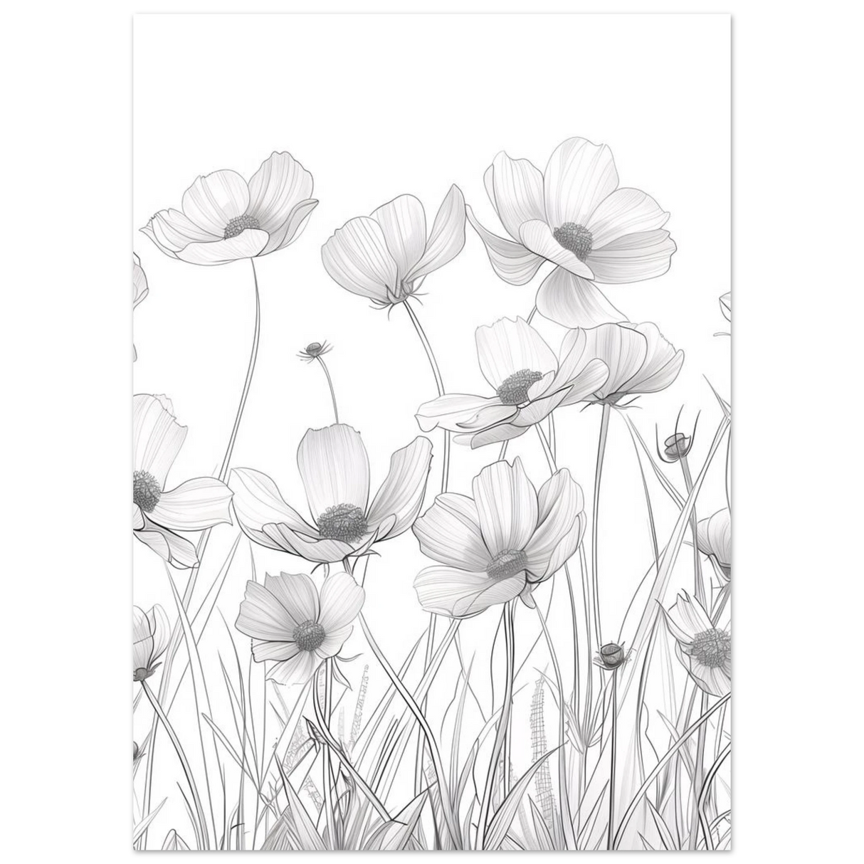 #50 x 70 cm