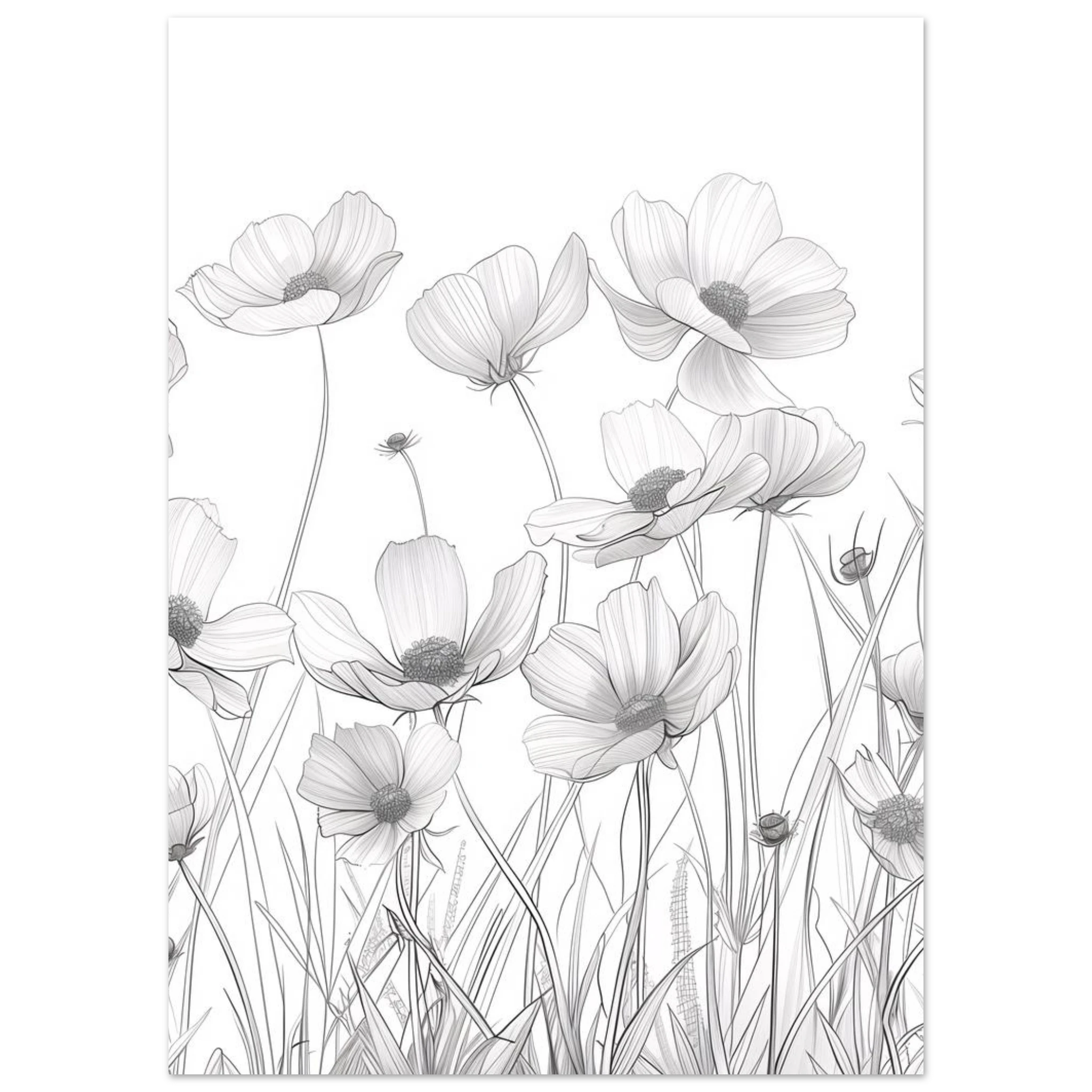 #50 x 70 cm