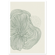 #21 x 29.7 cm