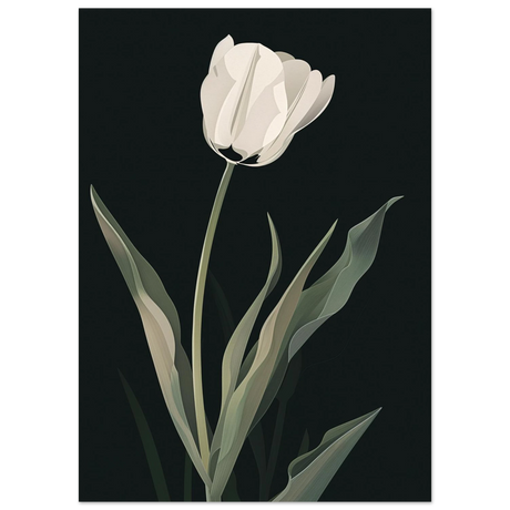 #50 x 70 cm
