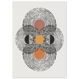 #21 x 29.7 cm