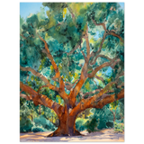 #30 x 40 cm