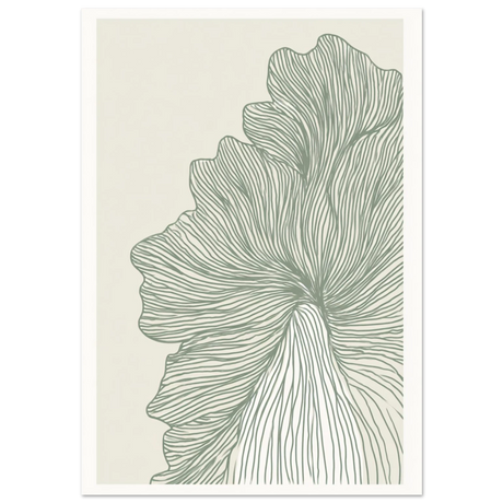 #70 x 100 cm
