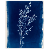 #40 x 50 cm