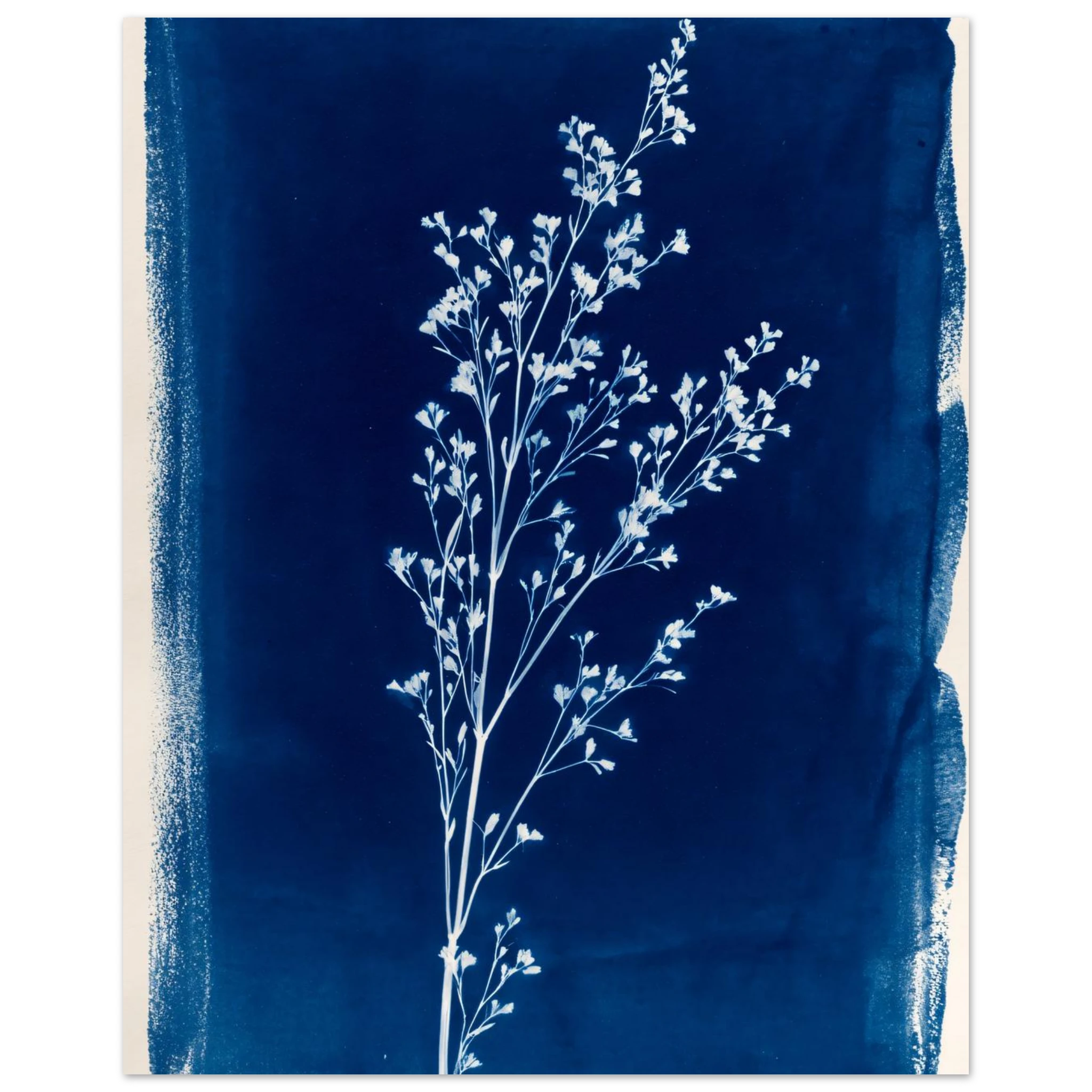 #40 x 50 cm