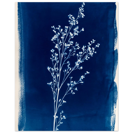 #40 x 50 cm