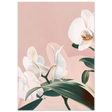 #21 x 29.7 cm