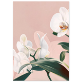 #21 x 29.7 cm