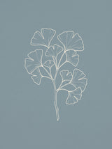 Ginkgogren plakat – botanisk linjekunst i blå