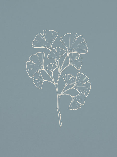 Ginkgogren plakat – botanisk linjekunst i blå
