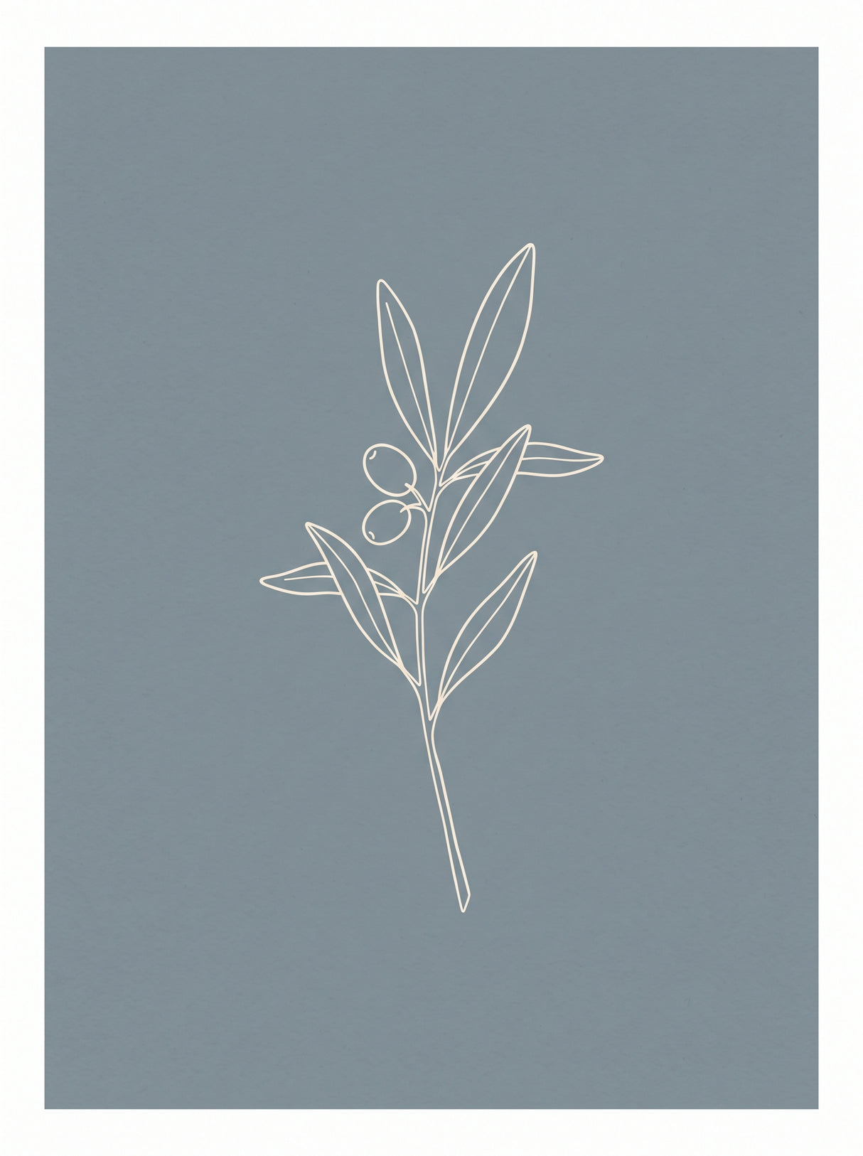 Olivengren plakat – botanisk linjekunst i blå