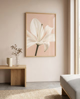 elegant-hvid-lilje-no-1-plakat-360