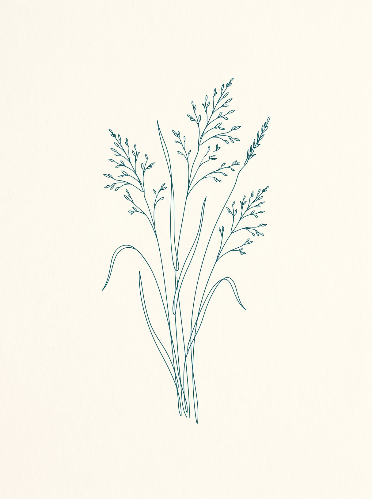 Vilde strå plakat – botanisk linjekunst i blå